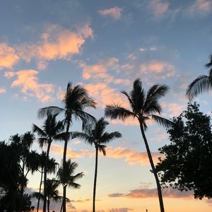 Meet your Posher, Charley